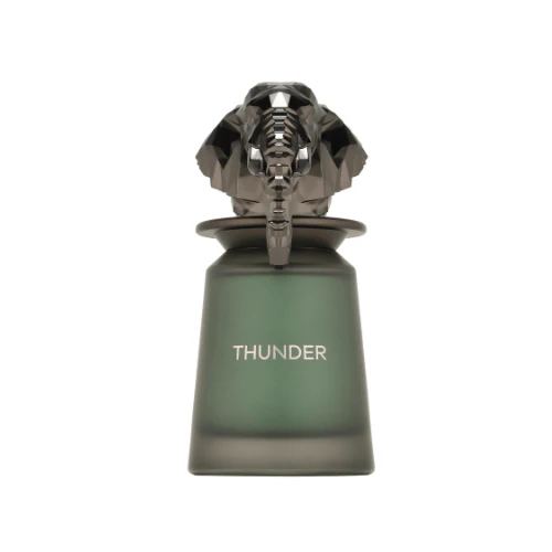 French Avenue Thunder  Edp 100 Ml (H) - Image 2
